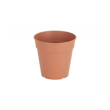 Madagascar To Grow Pot 19cm Terracotta - Mill Race Garden Centre