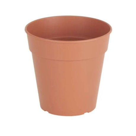 Madagascar To Grow Pot 23cm Terracotta - Mill Race Garden Centre