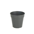 Madagascar To Grow Pot 7.5cm Anthracite - Mill Race Garden Centre