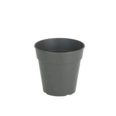 Madagascar To Grow Pot 7.5cm Anthracite - Mill Race Garden Centre