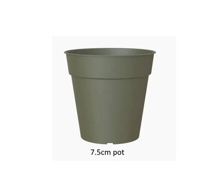 Madagascar To Grow Pot 7.5cm Dark Green - Mill Race Garden Centre