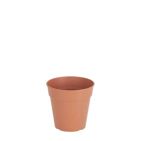 Madagascar To Grow Pot 7.5cm Terracotta - Mill Race Garden Centre