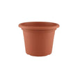 Venezia Cilindro Pot 30Cm Terracotta - Mill Race Garden Centre