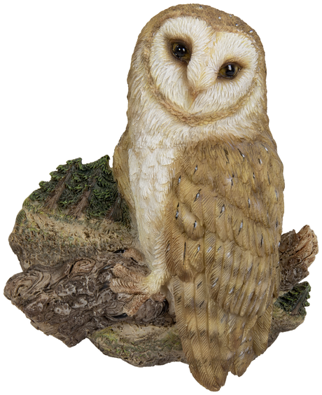 Vivid Arts barn owl magnet resin ornament featuring a detailed barn owl design, suitable for outdoor or home decoration.