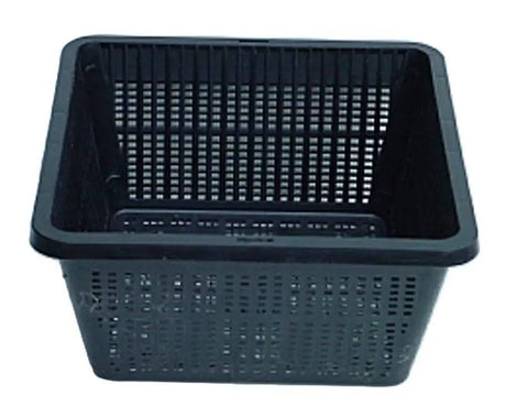 Aquatic Basket Square 19x19cm - Mill Race Garden Centre