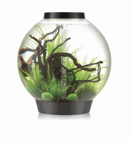 biOrb Classic 105 Litre Aquarium Black with Multi Colour Remote 2020. - Mill Race Garden Centre