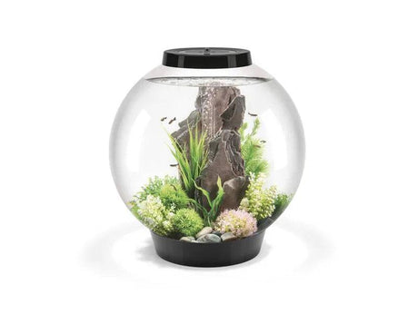 biOrb Classic 60 Litre Aquarium Black with Multi Colour Remote 2020. - Mill Race Garden Centre