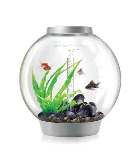 biOrb Classic 60 Litre Aquarium White with Multi Colour Remote 2020. - Mill Race Garden Centre