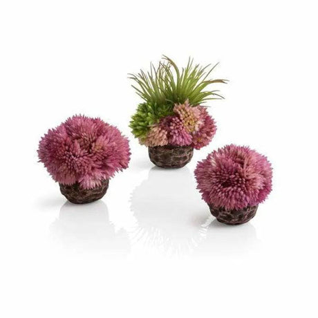 biOrb coral ball set purple - Mill Race Garden Centre