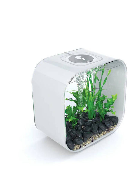 biOrb LIFE 30L - White Aquarium with Multi Colour Remote 2020. - Mill Race Garden Centre