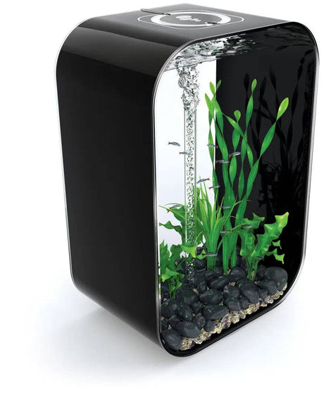 biOrb LIFE 60L - Black Aquarium with Muti Colour Remote 2020. - Mill Race Garden Centre
