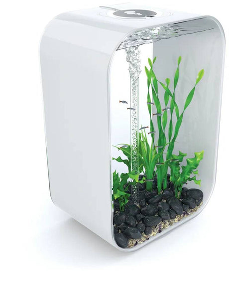 biOrb LIFE 60L - White Aquarium with Multi Colour Remote 2020. - Mill Race Garden Centre