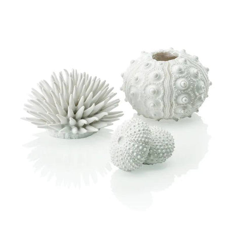 biOrb Sea Urchins Set of 3 in White - Mill Race Garden Centre