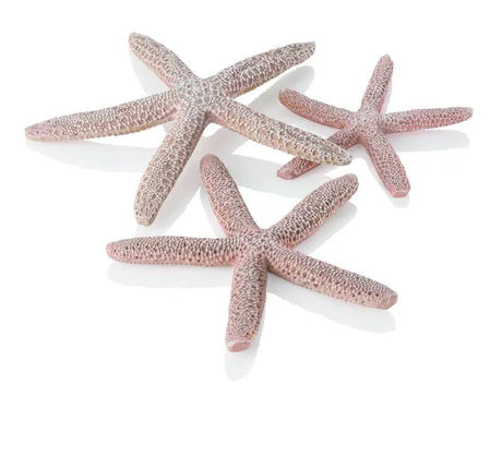 biOrb Small Starfish Natural x3. - Mill Race Garden Centre