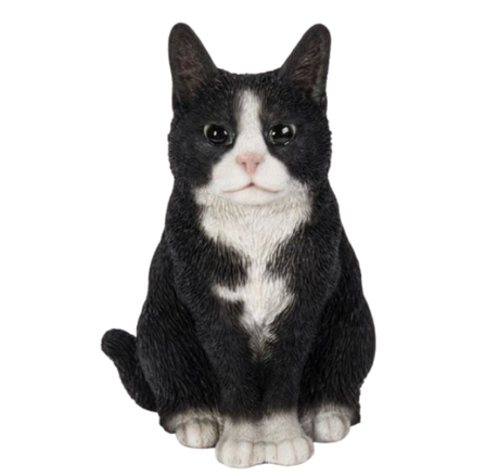 Real Life Sitting Black and White Cat Size D by Vivid Arts - Mill Race Garden Centre
