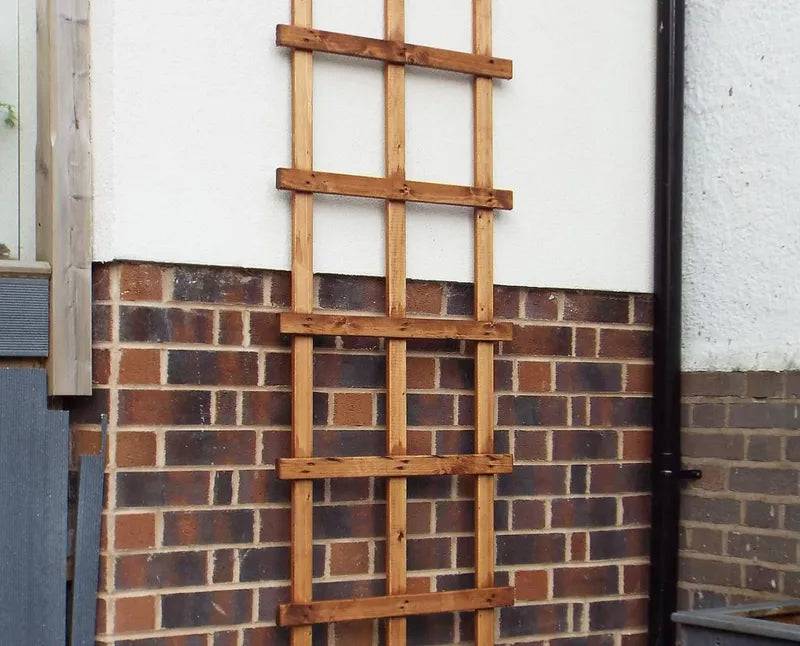 Medium Trellis Panel 6ft x 2ft by Charles Taylor