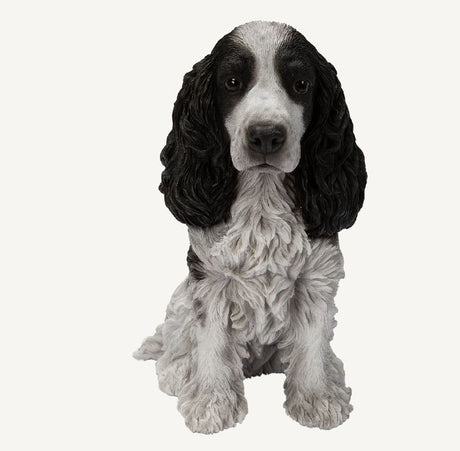 Real Life Black and White Cocker Spaniel Size D by Vivid Arts - Mill Race Garden Centre