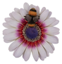 White Daisy with Bee resin wall hanging ornament by Vivid Arts, featuring a detailed daisy flower and bee design.