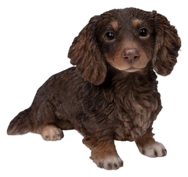 Long-haired chocolate and cream Dachshund resin ornament by Vivid Arts, detailed dachshund figure with a realistic appearance.