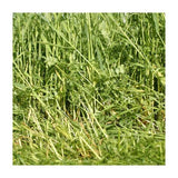 E.W. King & Co. Ltd. Suffolk Herbs Green Manures Winter Mix seed packet for winter soil enrichment and plant growth.