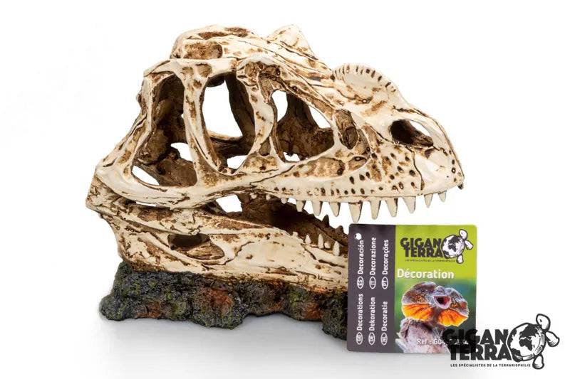 Dinosaur Skull 1 - 19 X 9 X 14Cm - Mill Race Garden Centre