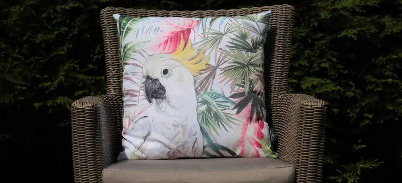 Katie Blake Enchanting Scatter Cushion Bird of Paradise - Mill Race Garden Centre