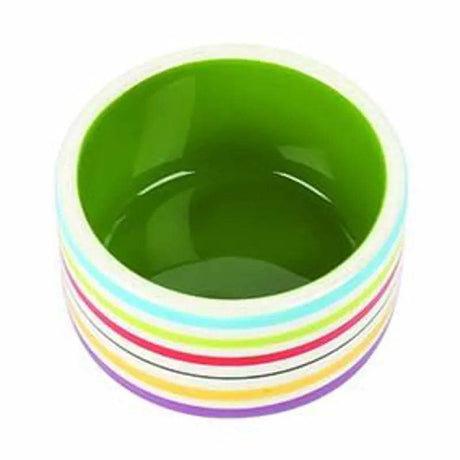 Rainbow Pet Bowl - Mill Race Garden Centre