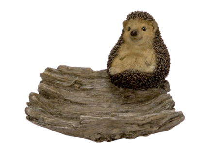 Hedgehog on Driftwood Size F by Vivid Arts - Mill Race Garden Centre