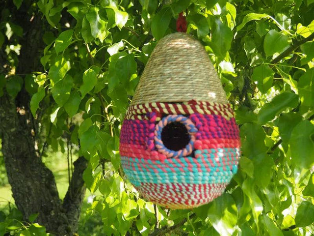 Bird House Pear - Mill Race Garden Centre