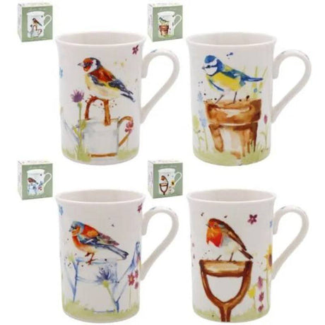 Garden Birds Boxed Mug - Mill Race Garden Centre