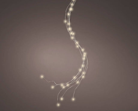 73cm Battery Operated Micro 48 Warm White LED Bunch Lights by Kaemingk - Mill Race Garden Centre