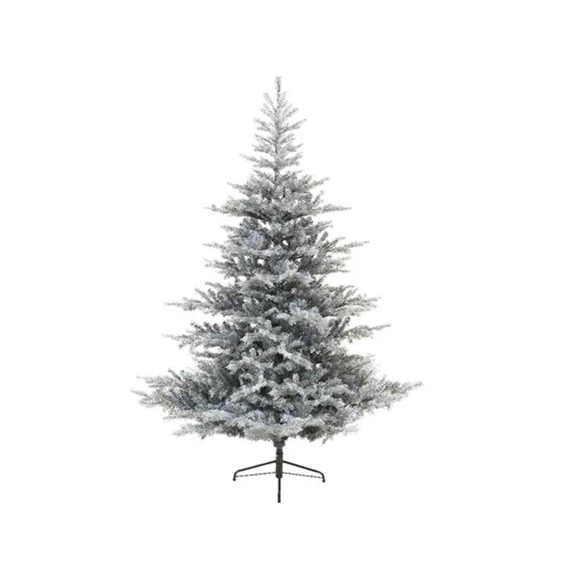 Grandis Fir Frosted Artificial Christmas Tree 240cm by Kaemingk - Mill Race Garden Centre