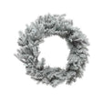 Indoor Grandis Frosted Wreath 80cm by Kaemingk - Mill Race Garden Centre