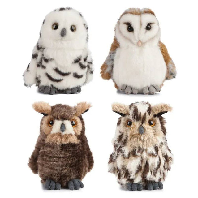 Owl 13cm Assorted - Mill Race Garden Centre