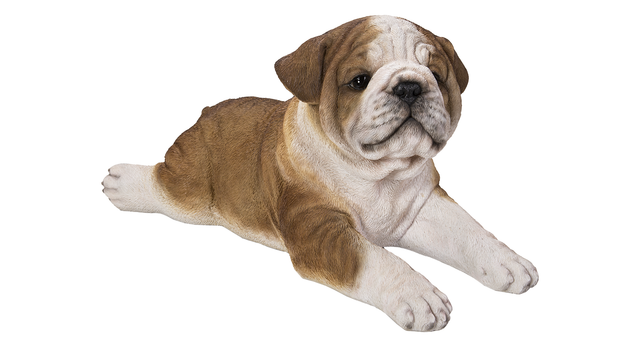 Vivid Arts Real Life Laying Bulldog Puppy resin ornament for outdoor decor, detailed realistic dog figure in a laying position.