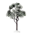 9 inch Mountain Pine Lemax Christmas Village Accessory - Mill Race Garden Centre