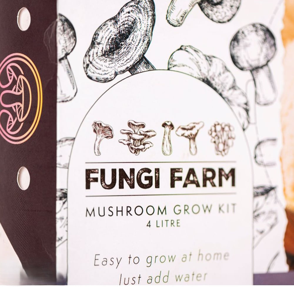 Lion's Mane 4L. Mushroom Growing Kit by Thompson & Morgan