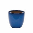 Apta 21cm Cambridge Egg Pot Assorted Colours - Mill Race Garden Centre