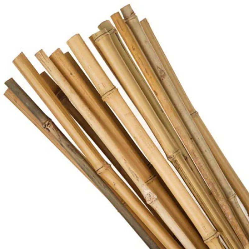 Bamboo Cane 7ft Pack of 10