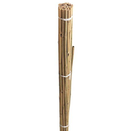 Gardman 6ft Bamboo Cane 10pk - Mill Race Garden Centre