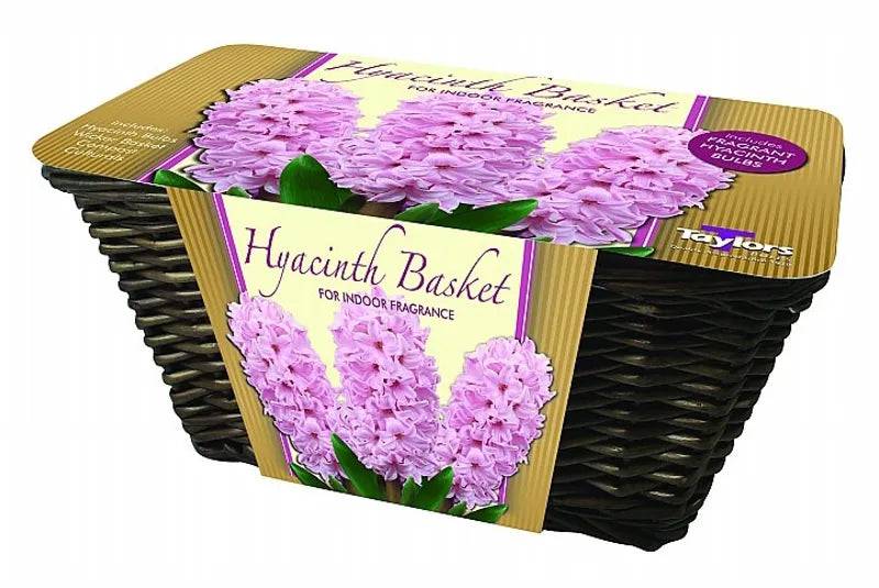 Hyacinth Basket Large Pink