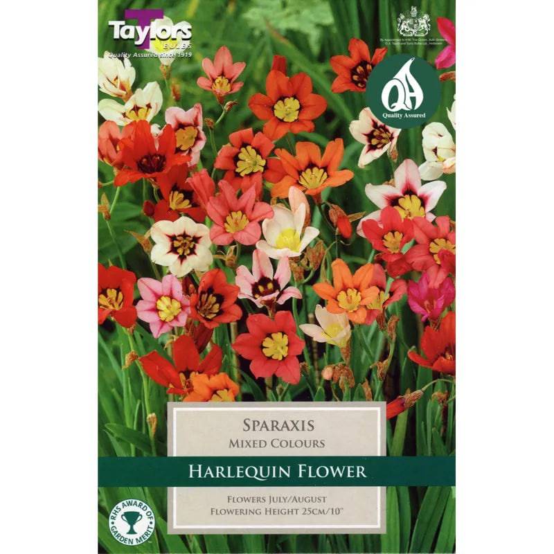 Taylors Bulbs Mixed Colours Sparaxis Pack of 20