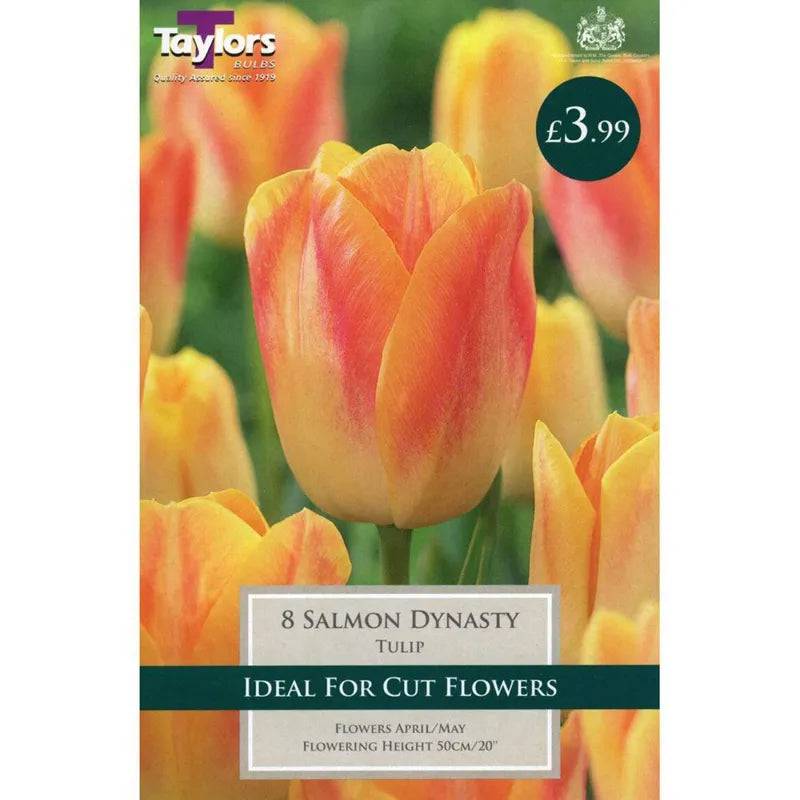 Taylors Bulbs Salmon Dynasty Tulip 8 Pack - Mill Race Garden Centre