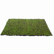 ARTIF. MOSS MAT GREEN-BROWN 70X50CM - Mill Race Garden Centre