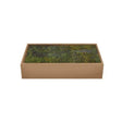 Flat Moss Green 500g - My Village Decorative Moss - Mill Race Garden Centre