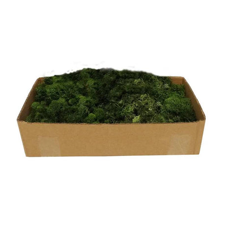 REINDEER MOSS DARK GREEN 500GR - Mill Race Garden Centre