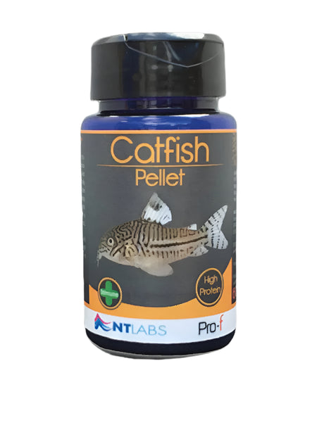 NT Labs Pro-F Catfish Pellet 60g - Mill Race Garden Centre