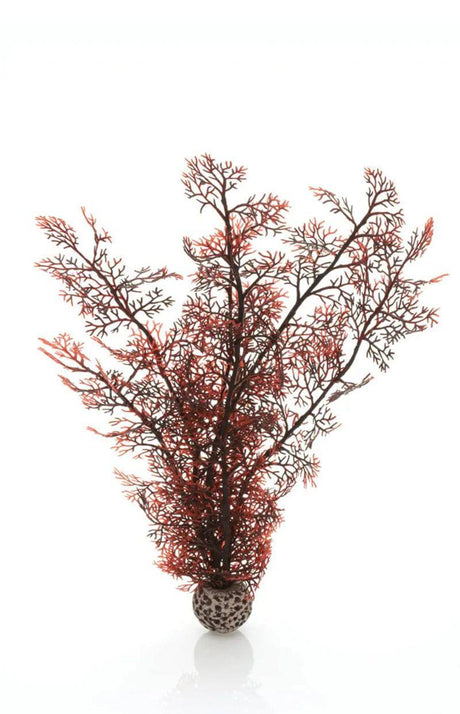 biOrb Crimson Sea Fan Aquarium Decoration Medium - Mill Race Garden Centre