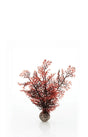 biOrb Crimson Sea Fan Aquarium Decoration Small - Mill Race Garden Centre