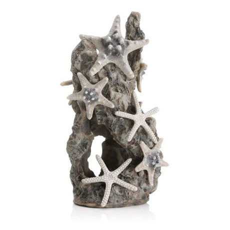biOrb Ornament Starfish on a Rock Medium - Mill Race Garden Centre